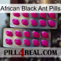 African Black Ant Pills 10